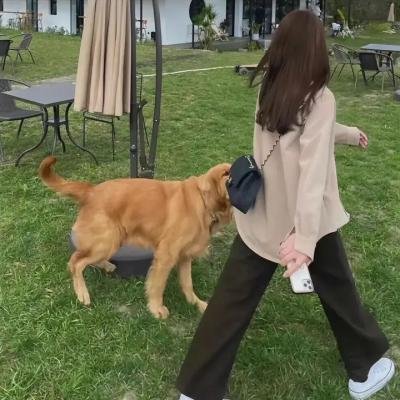 无罪谋杀:科林尼案